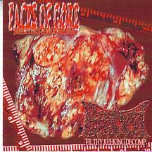 Faces Of Gore : Faces of Gore - Biocyst